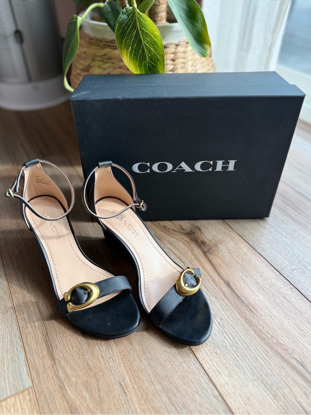 Coach Odetta Wedges in Black